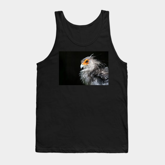 Secretarybird Tank Top by valentina9